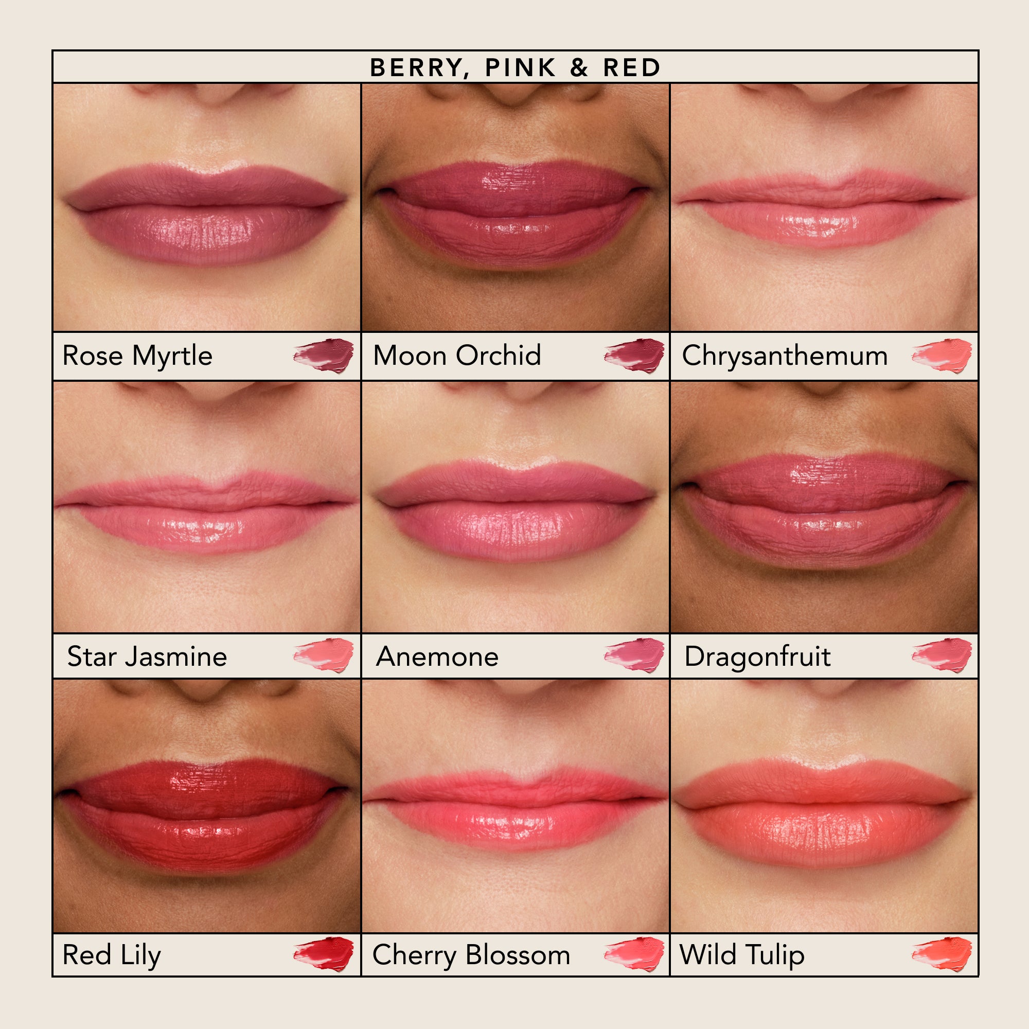 CHANTECAILLE　ベース Lip Crème – Chantecaille