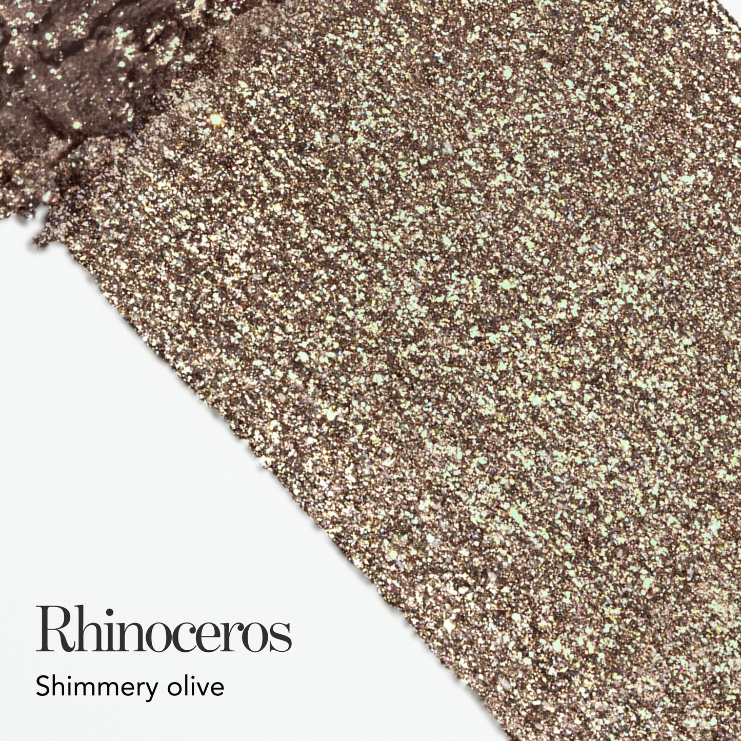 Rhinoceros
