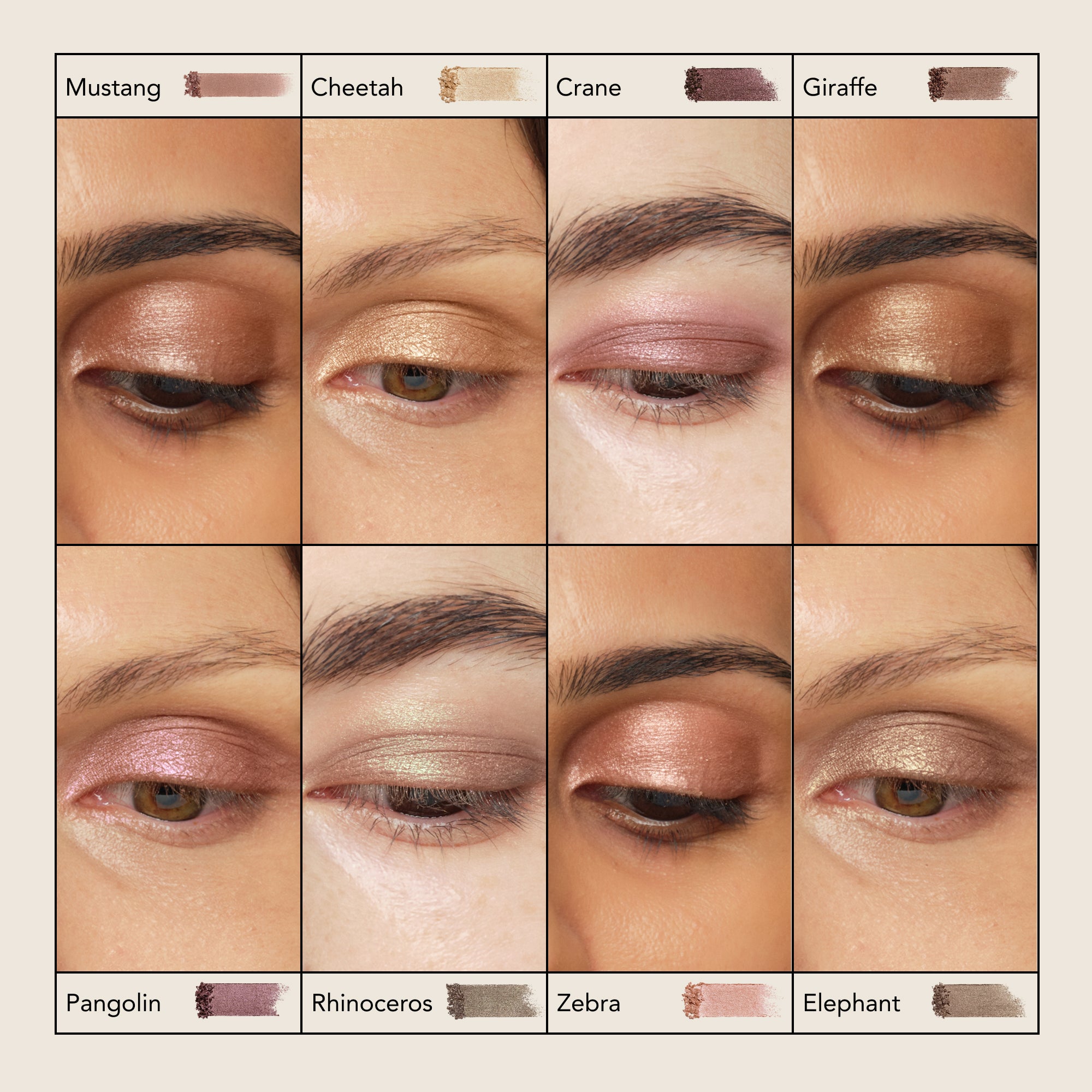 Luminescent Eye Shades | Pearlescent Eye Shadow – Chantecaille