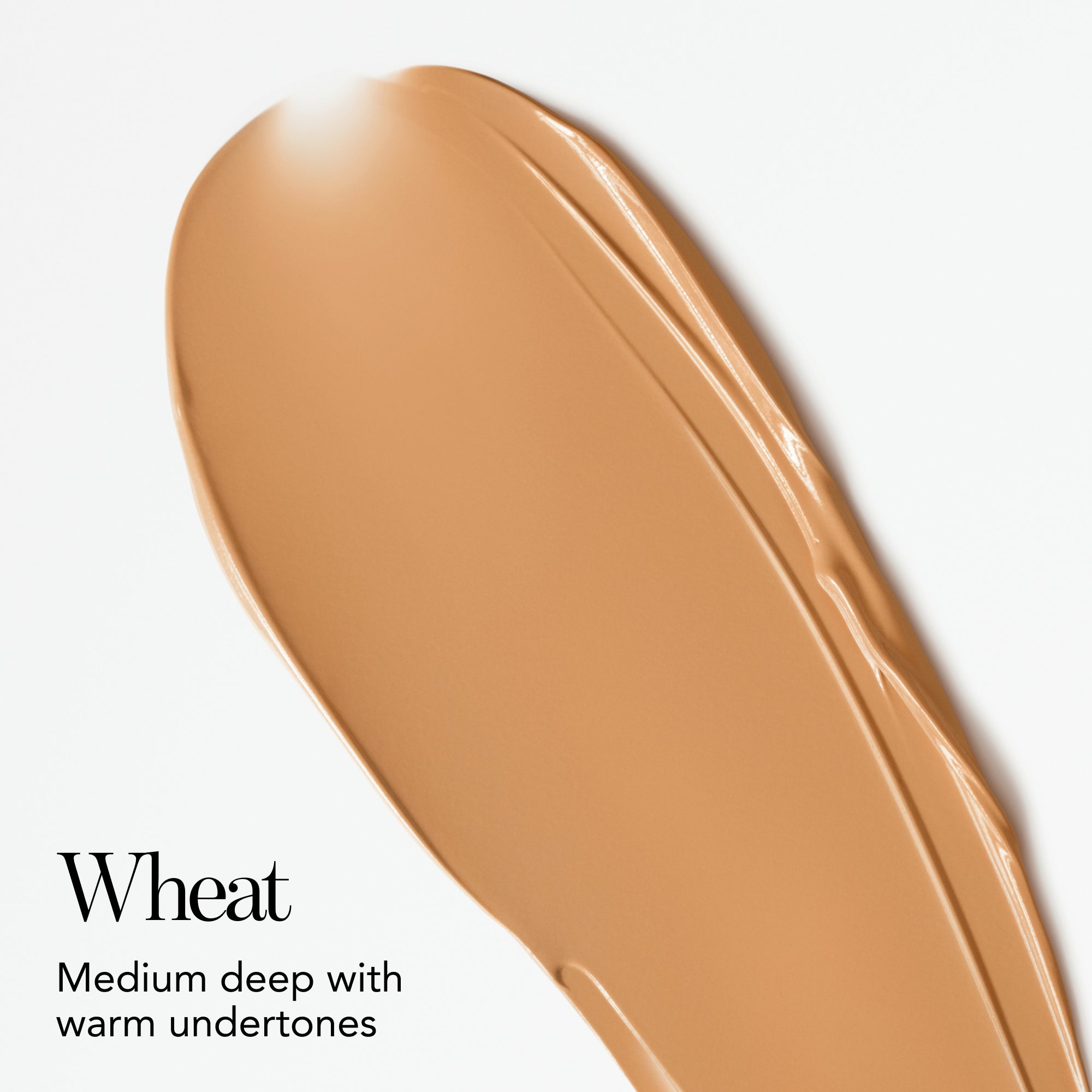 Just Skin Tinted Moisturizer (Canada) – Chantecaille