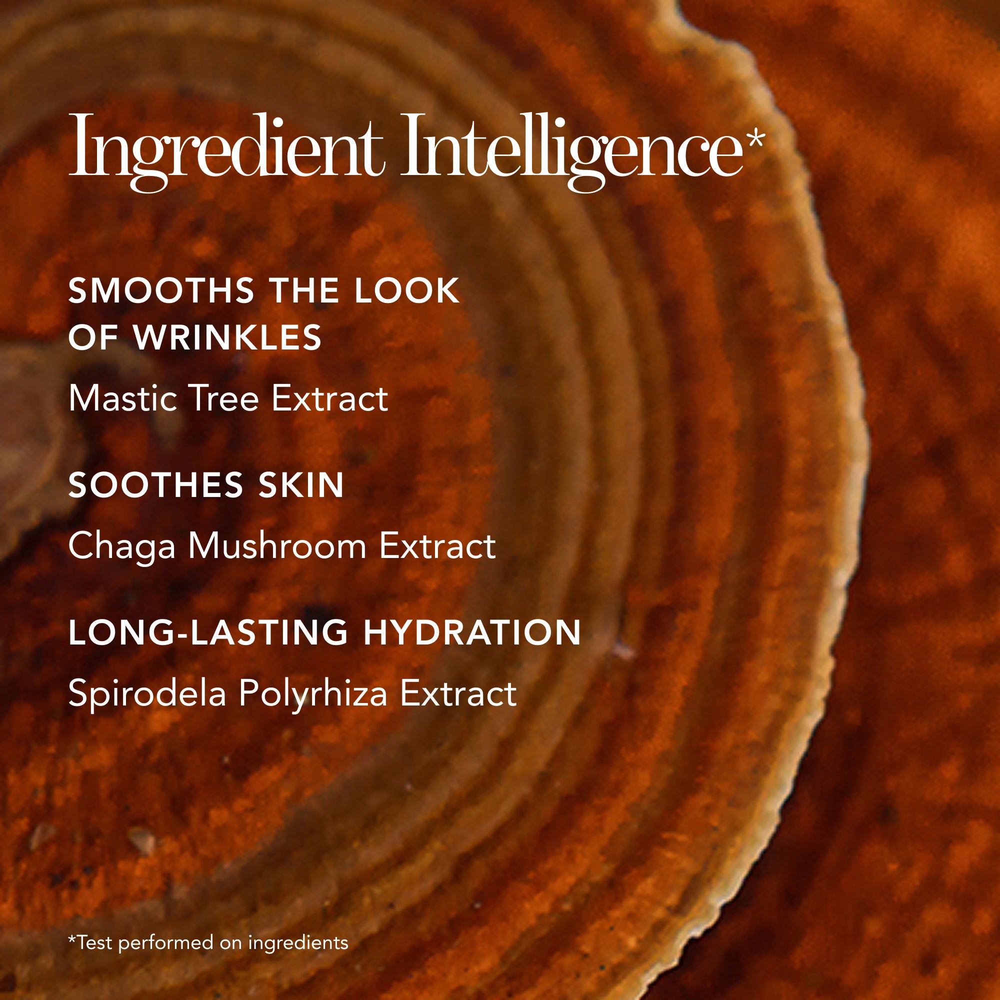 Chantecaille Future Skin Gel Foundation