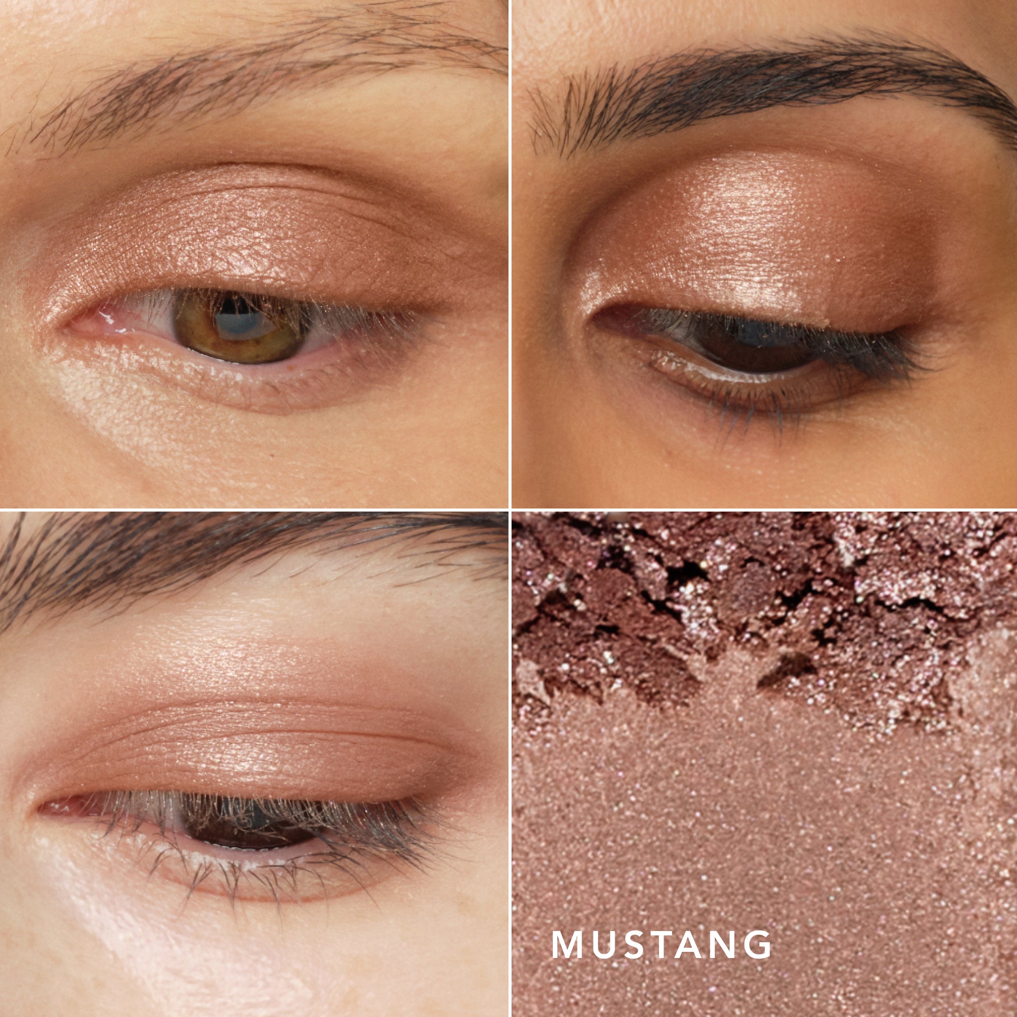 Luminescent Eye Shades | Pearlescent Eye Shadow – Chantecaille
