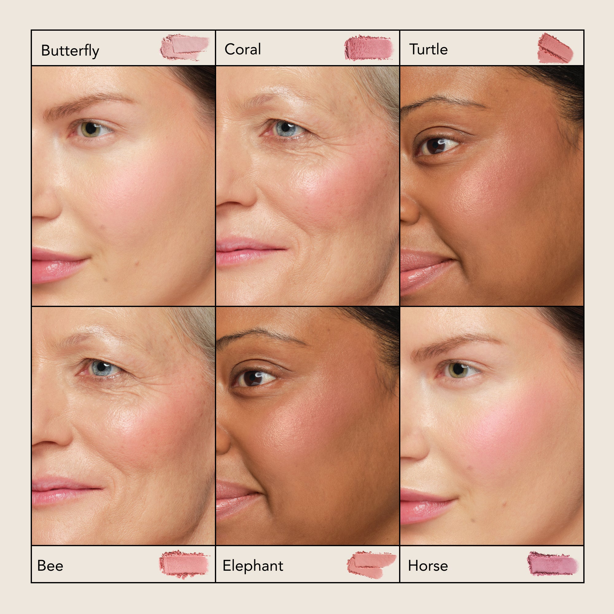 Cheek Shade Compact – Chantecaille