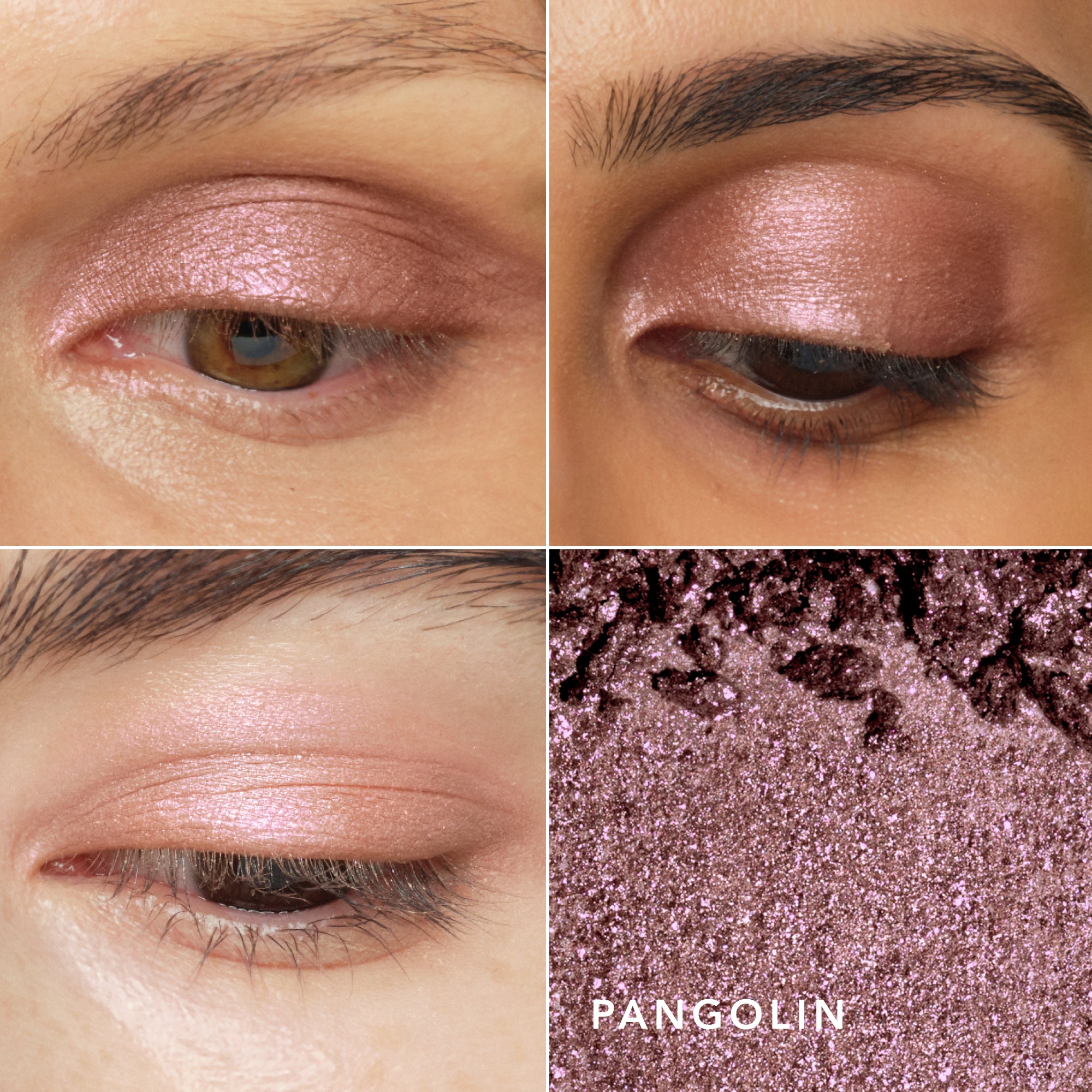 Luminescent Eye Shades | Pearlescent Eye Shadow – Chantecaille