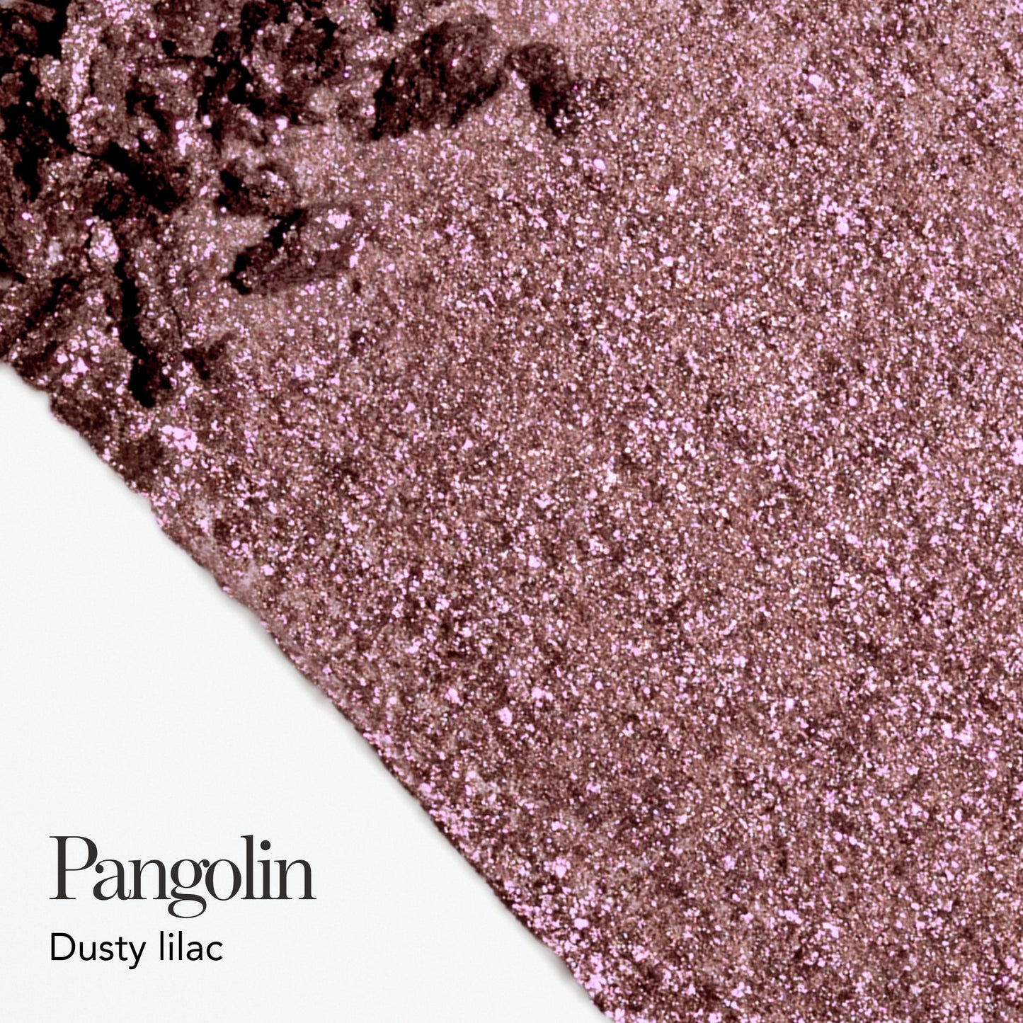Pangolin