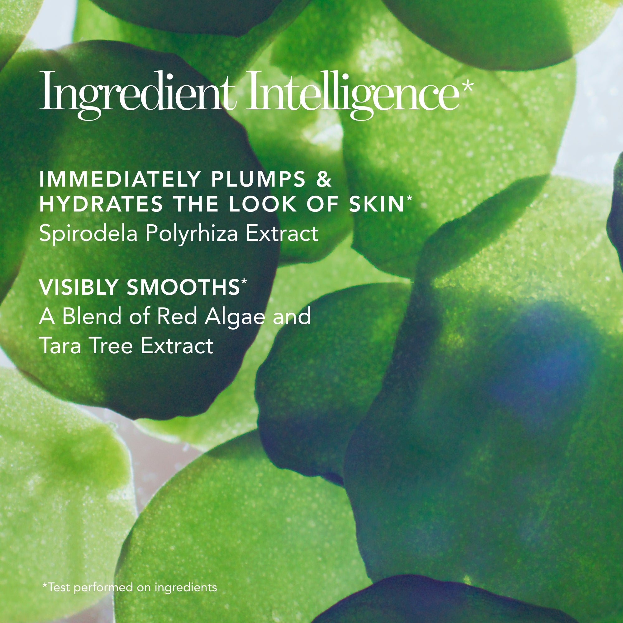 Just Skin Tinted Moisturizer (Canada) – Chantecaille