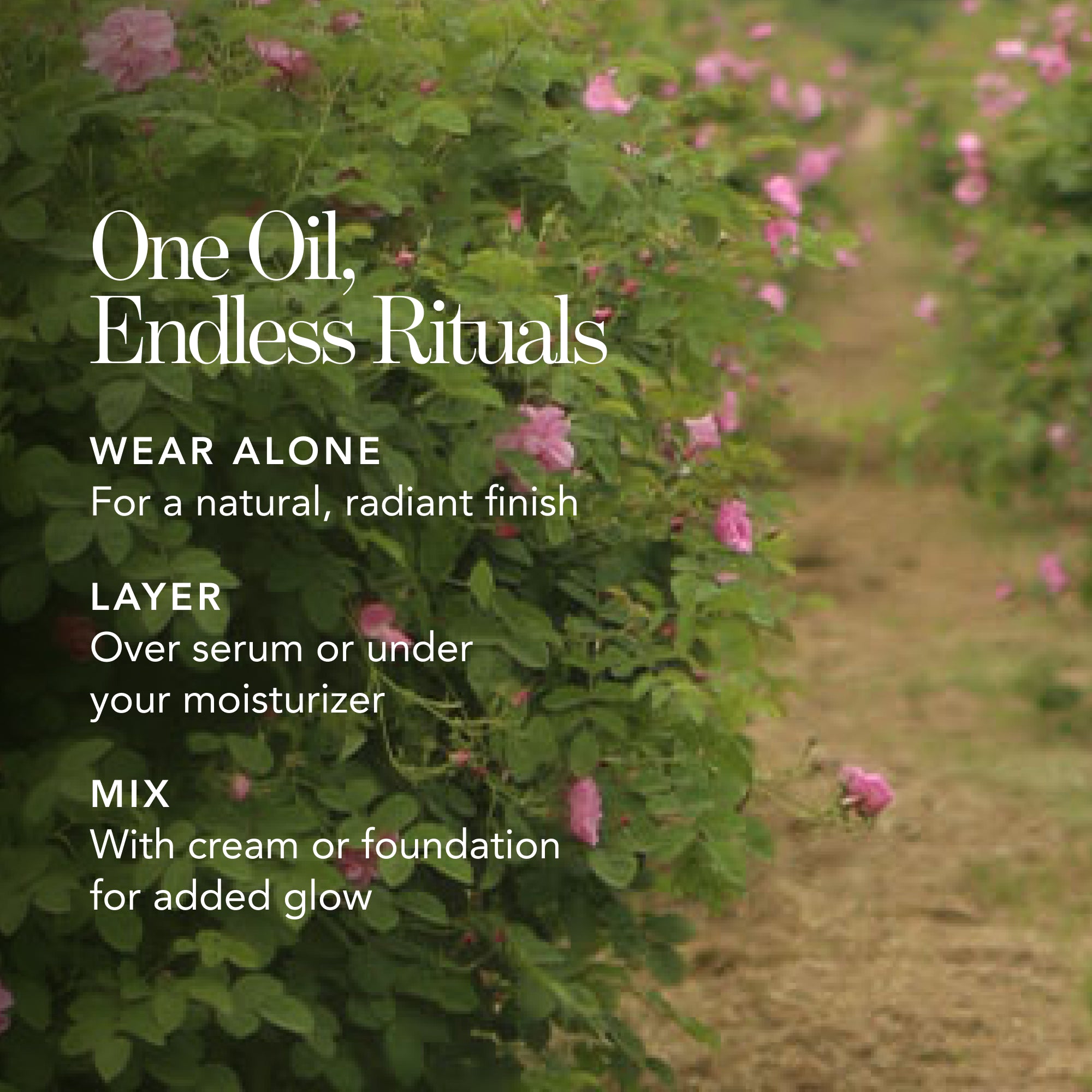 Chantecaille Rose de Mai Face Oil | Supercharged & De-Aging Face