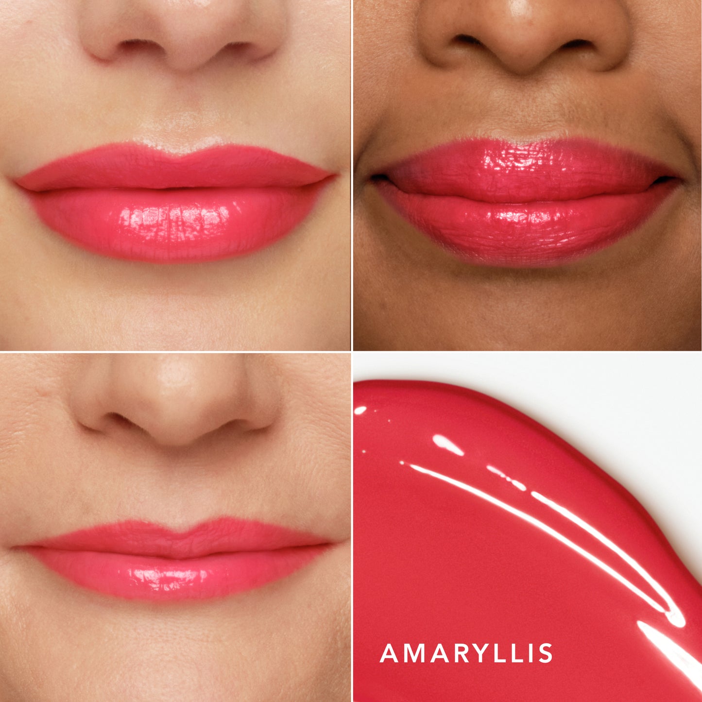 Amaryllis