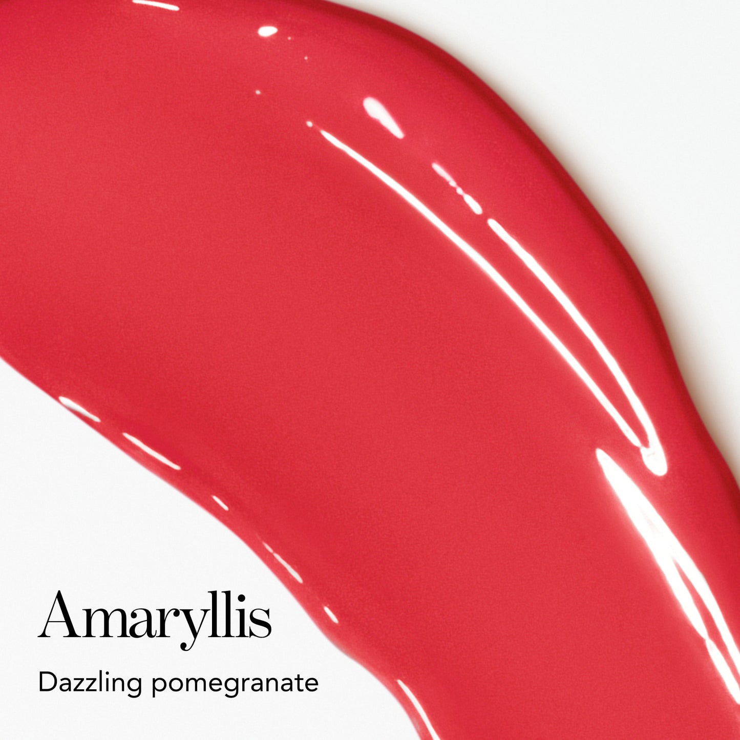 Amaryllis