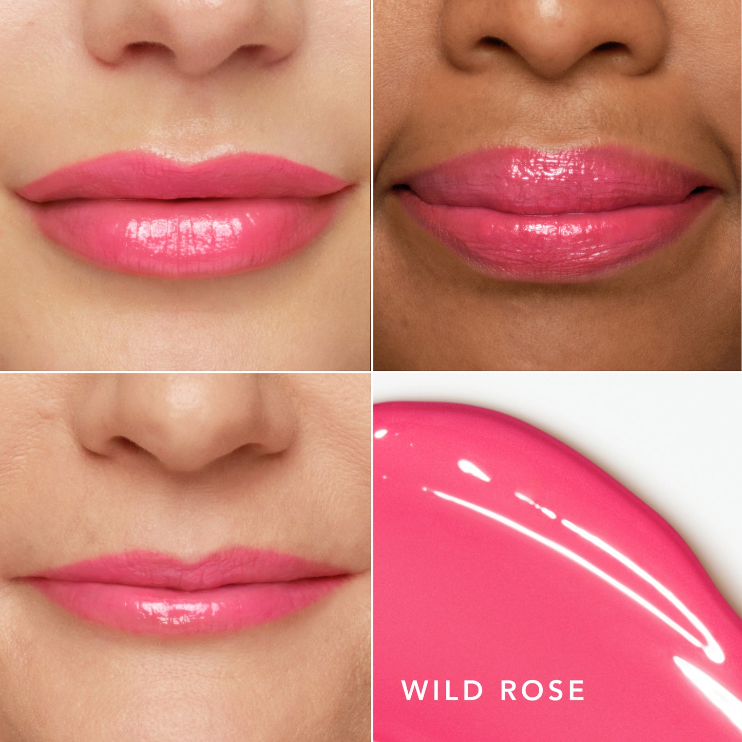 Wild Rose