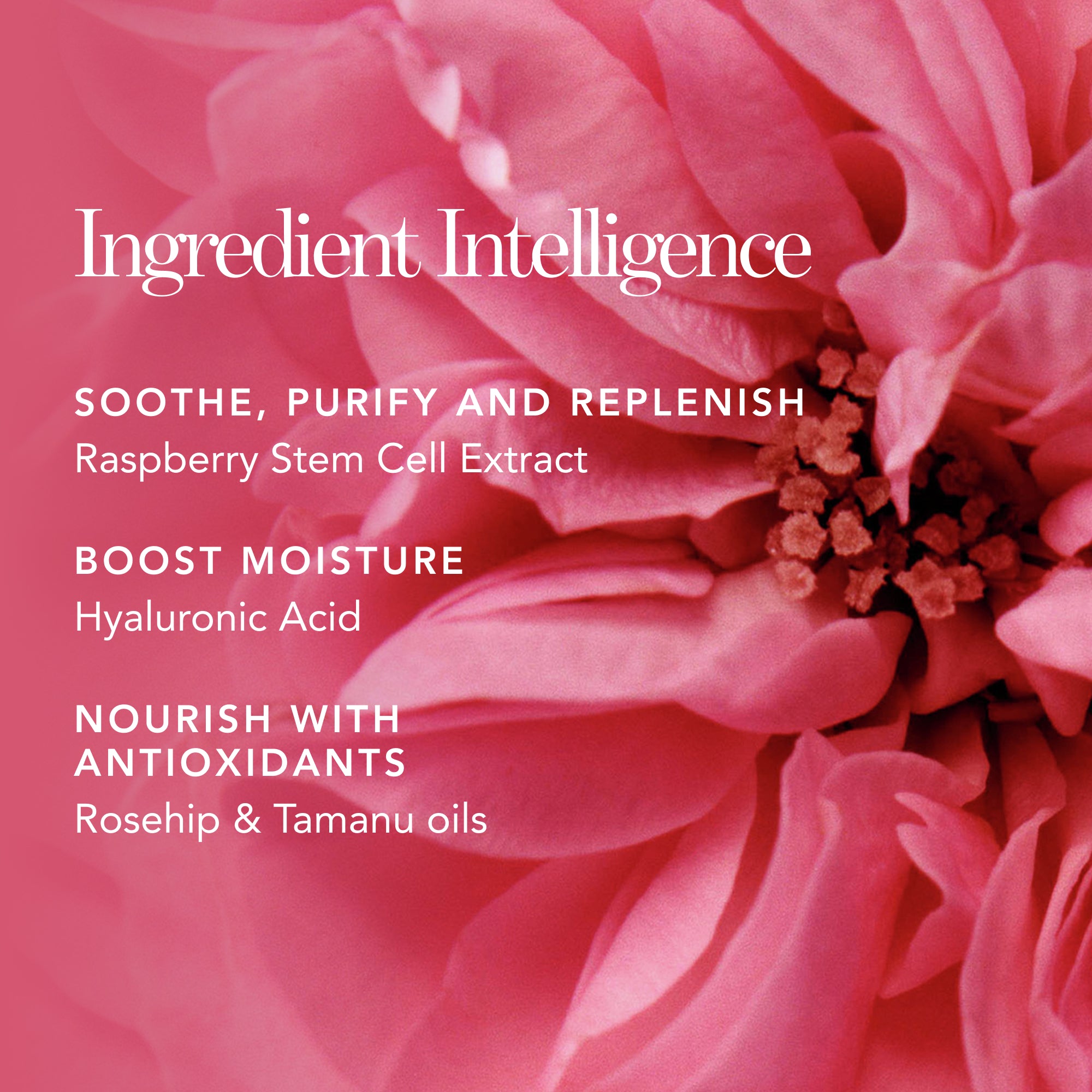 Rose de Mai Cleansing Balm – Chantecaille