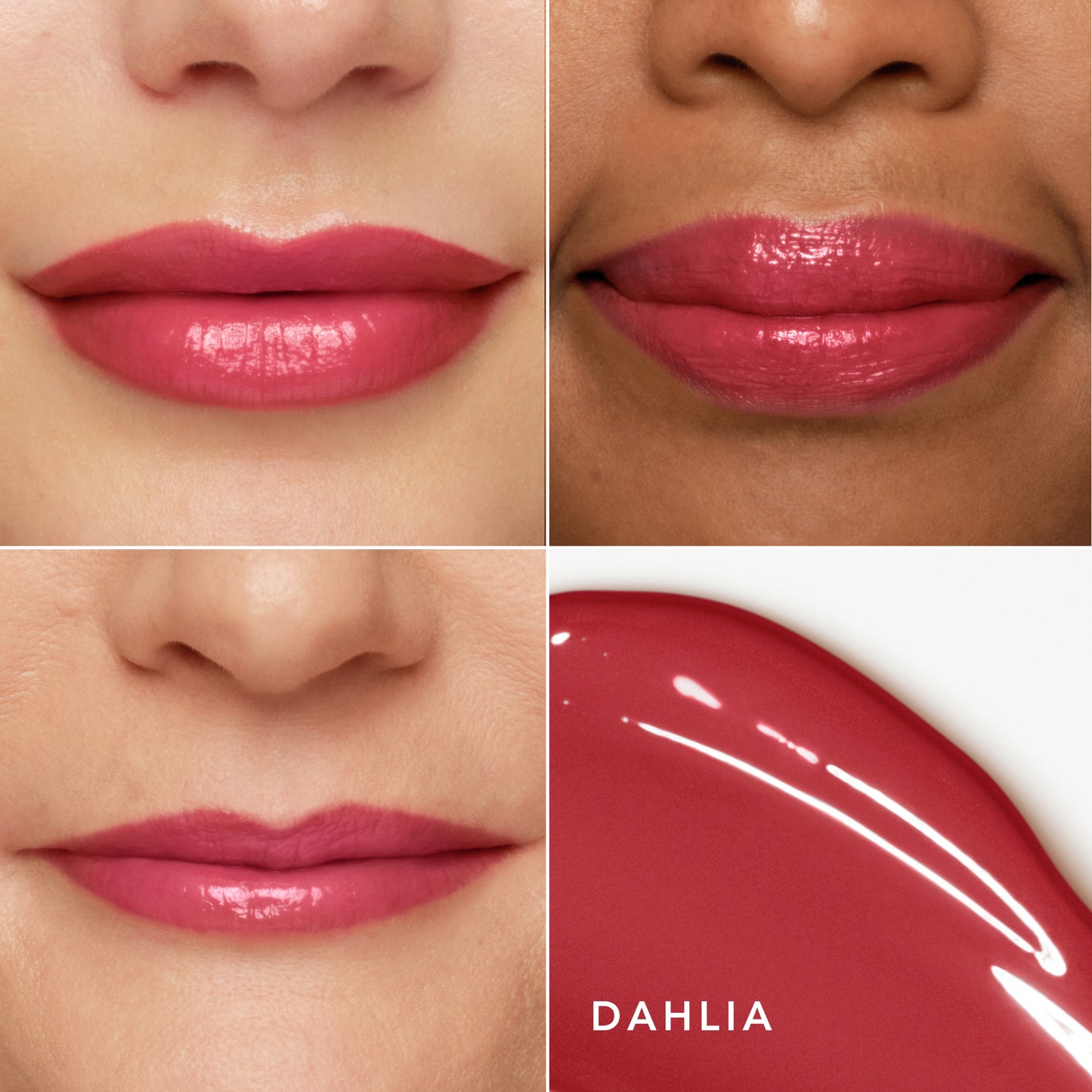 Dahlia