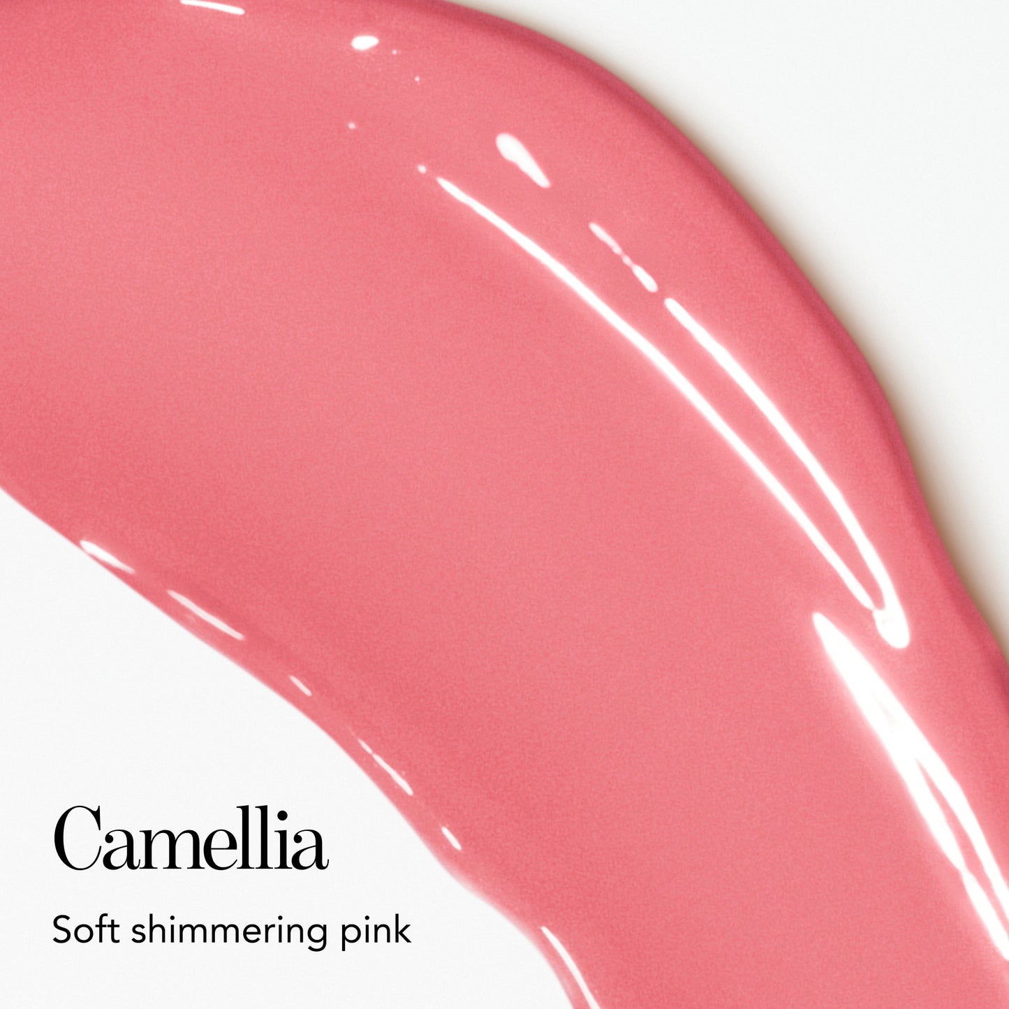 Camellia