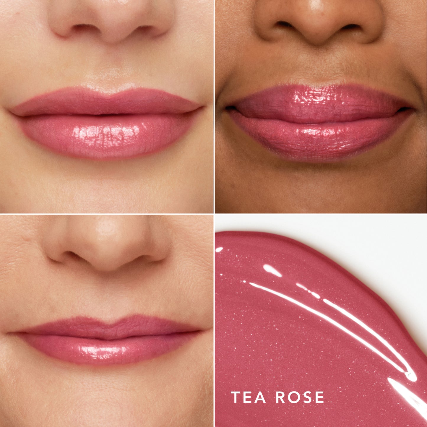 Tea Rose
