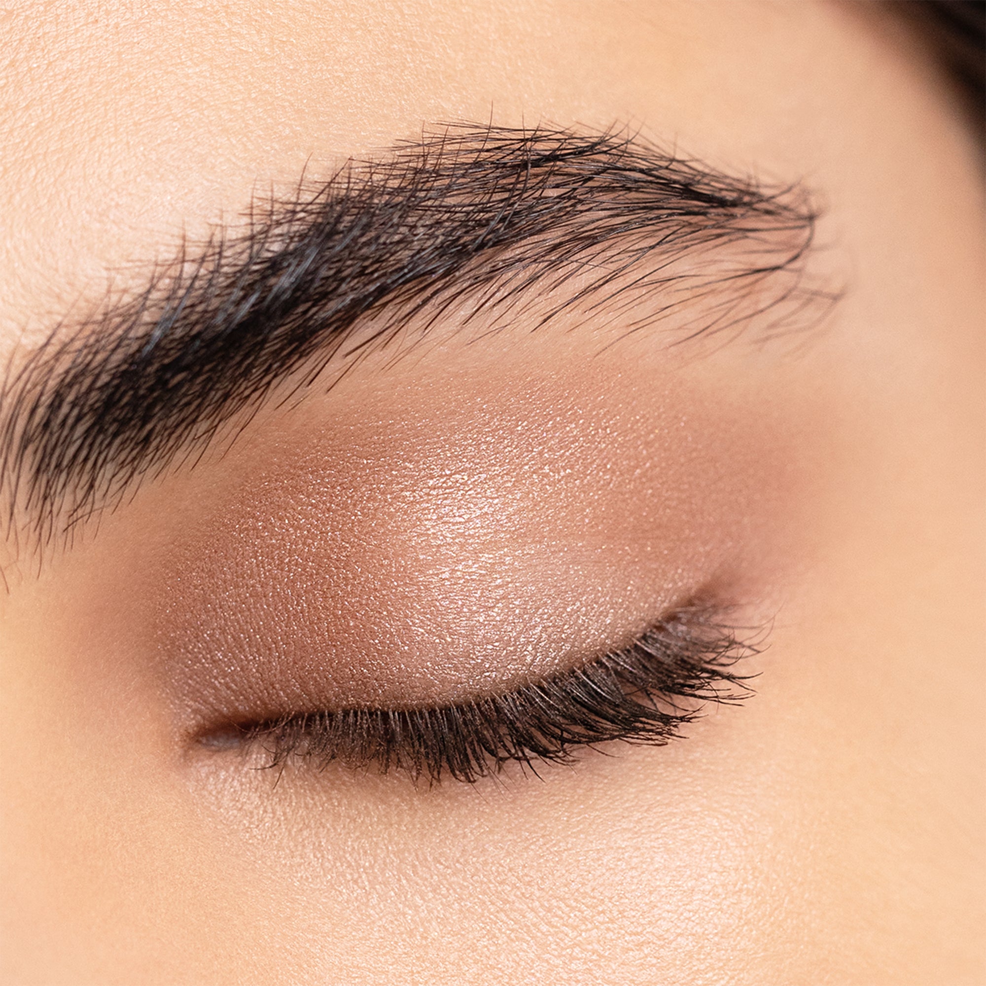 eyeshadows – chantecaille Images High Quality Grahic Eyeshadows – Chantecaille