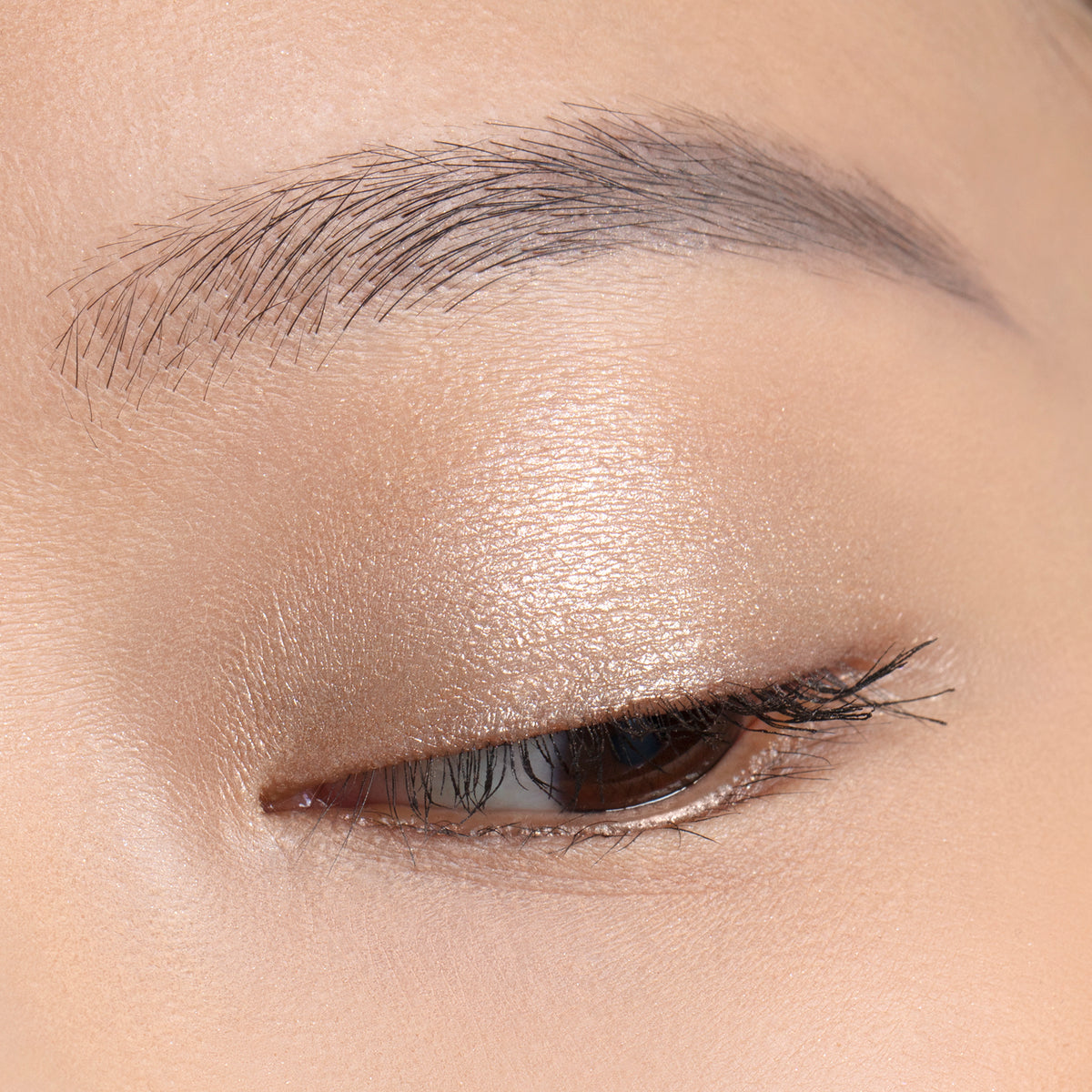 chantecaille luminescent eye shades lion pearlescent... Luminescent Eye Shades | Pearlescent Eye Shadow – Chantecaille