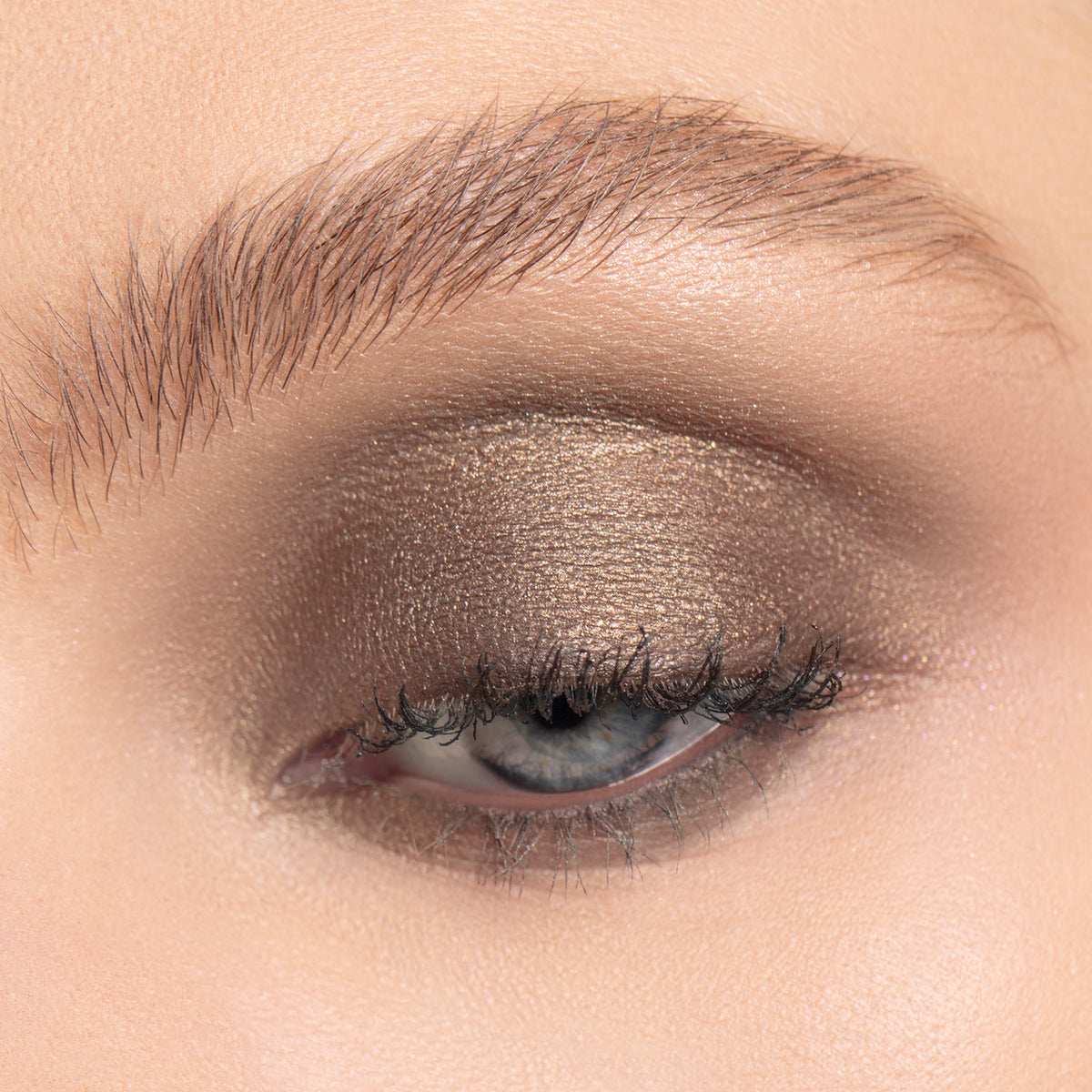 chantecaille luminescent eye shades lion pearlescent... Luminescent Eye Shades | Pearlescent Eye Shadow – Chantecaille