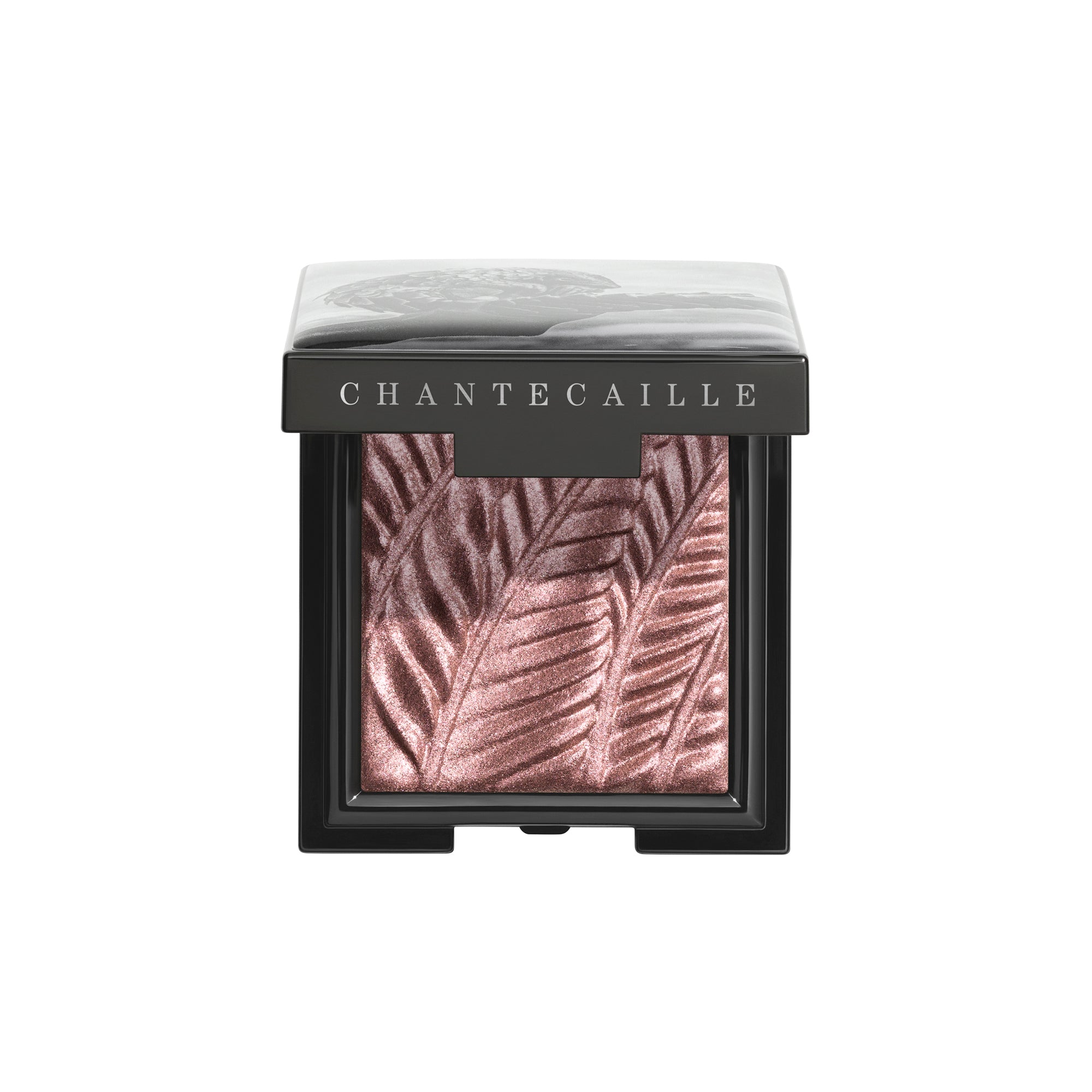 chantecaille luminescent eye shades lion pearlescent... Luminescent Eye Shades | Pearlescent Eye Shadow – Chantecaille
