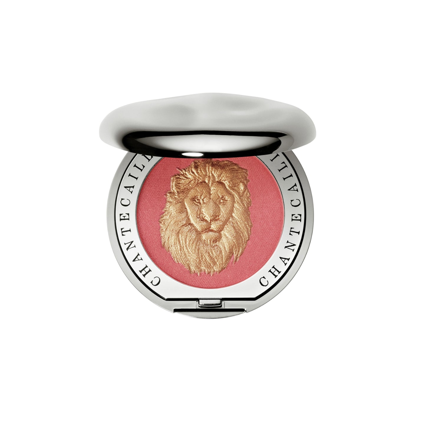 Lion Pride
