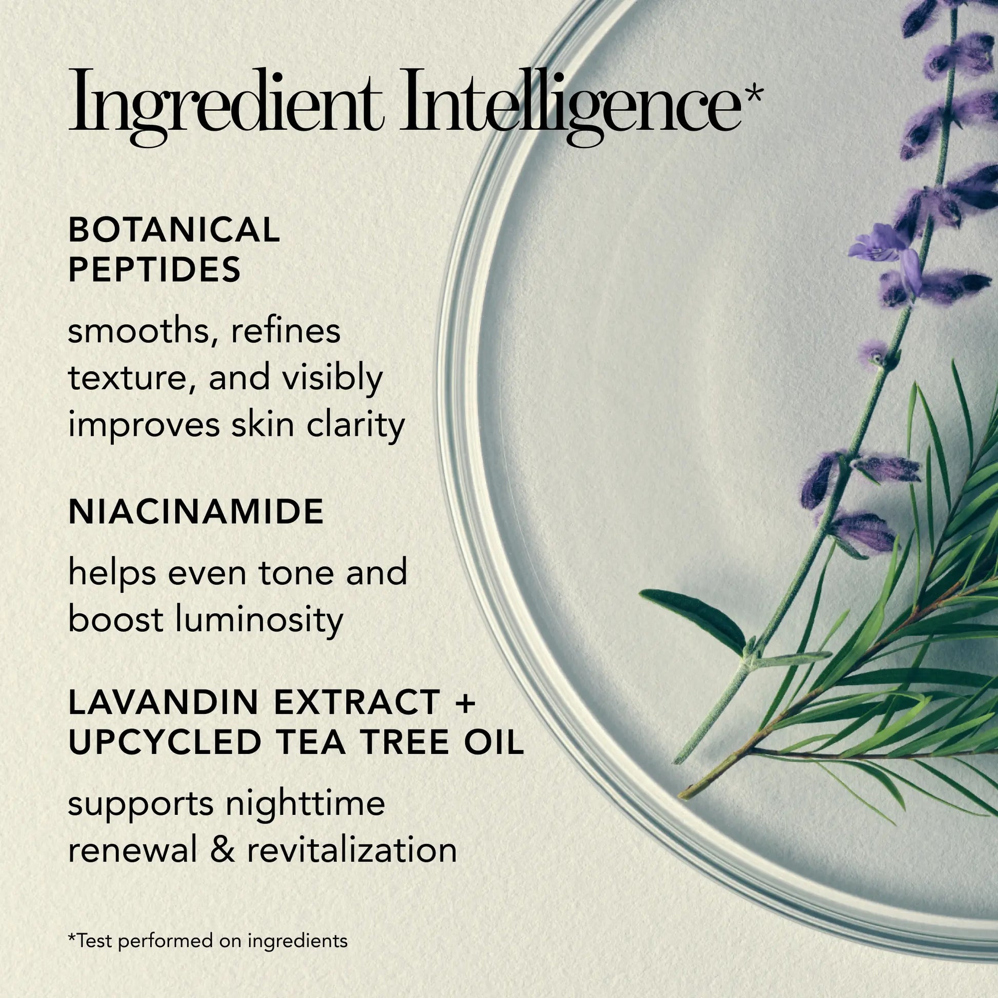 benefits of lavender and tea tree oil Blanc Peony Overnight Mask