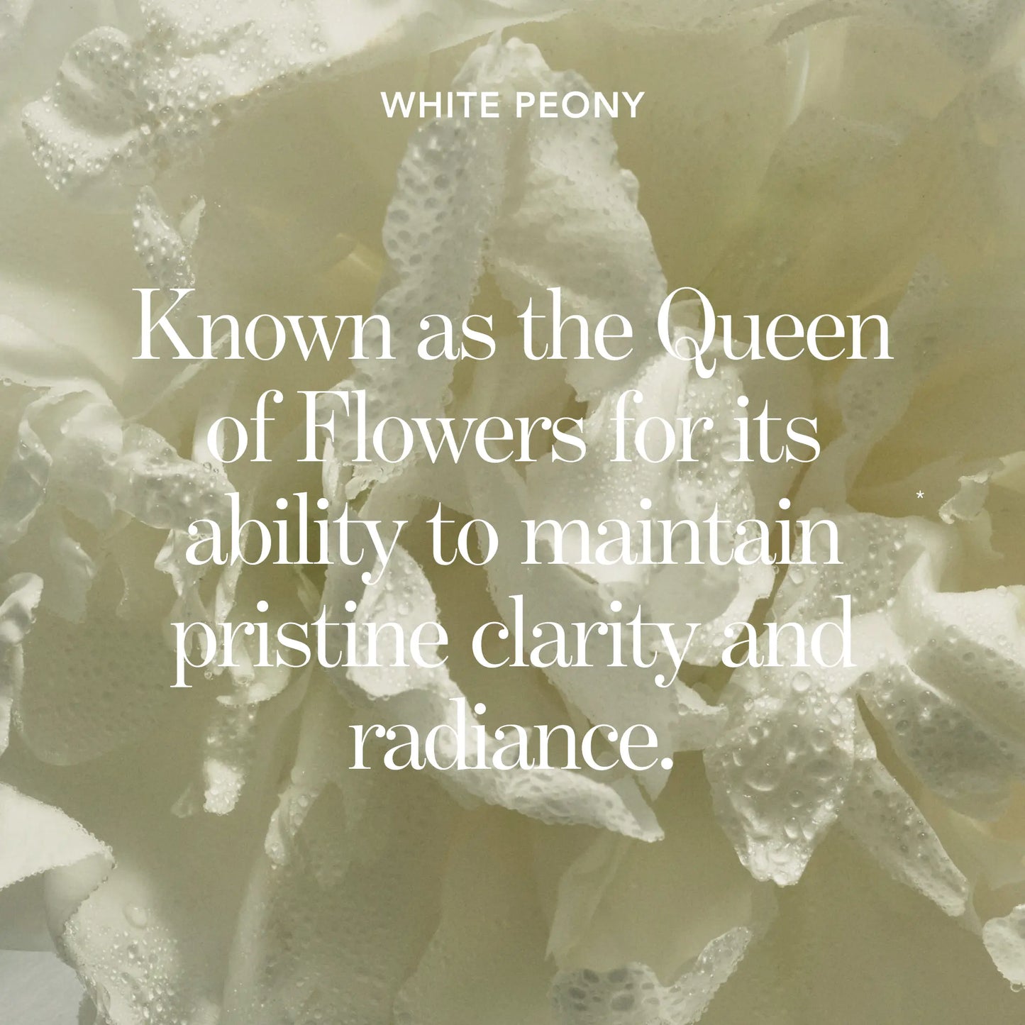 Blanc Peony Face Serum