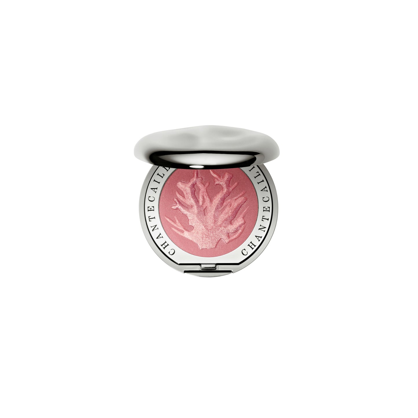 Coral Laughter