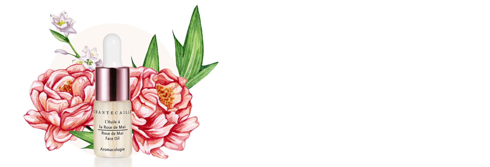 Chantecaille Makeup & Skincare