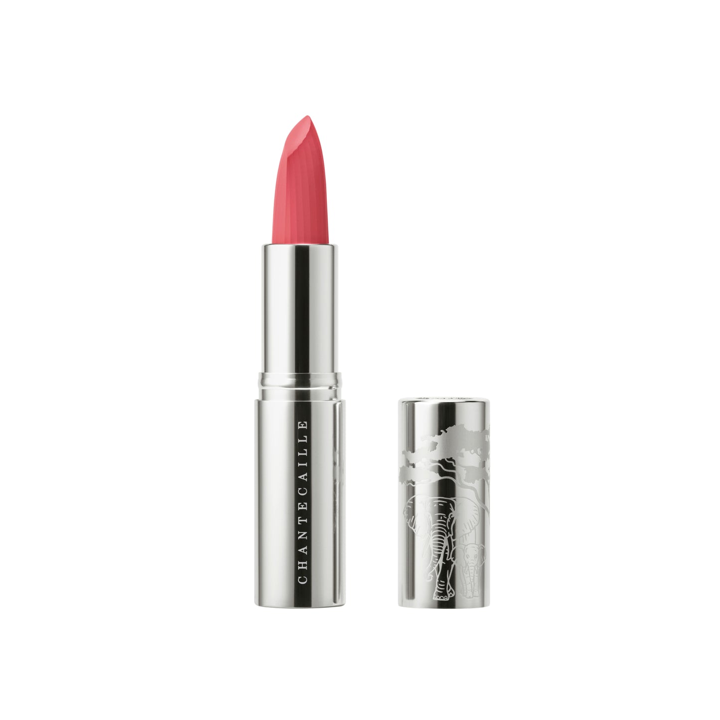 Wild Tulip
