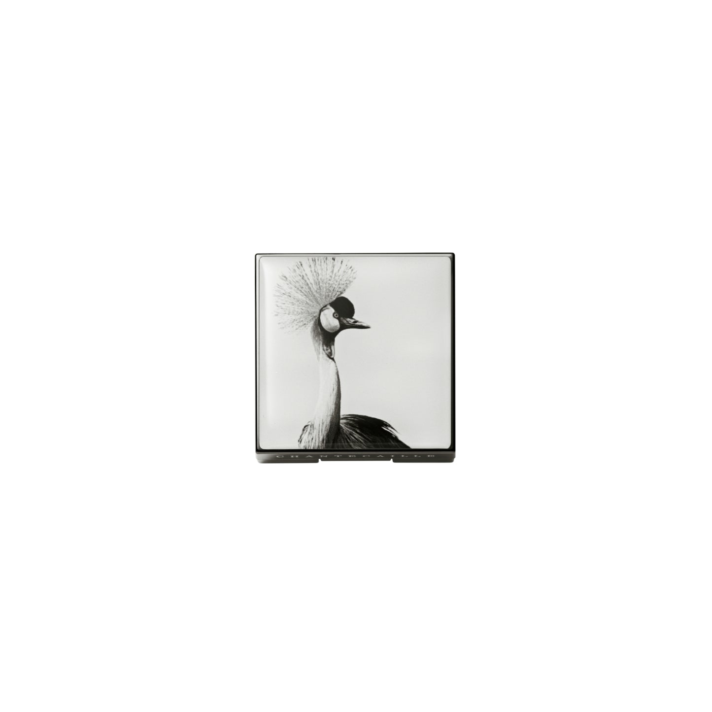 Crane