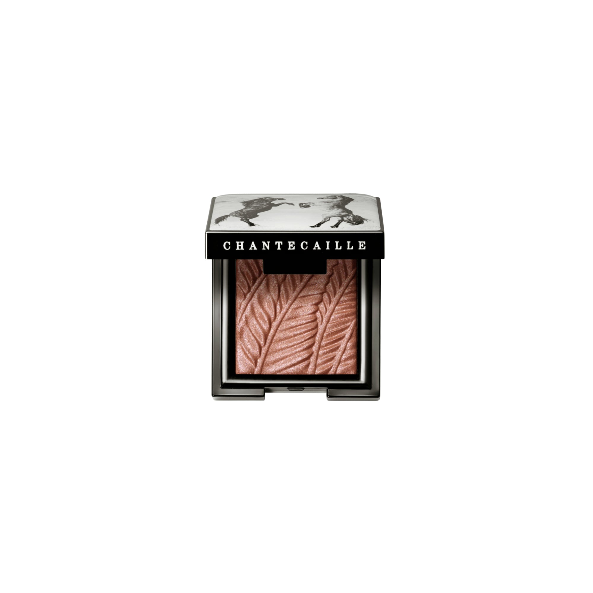 Luminescent Eye Shades 1