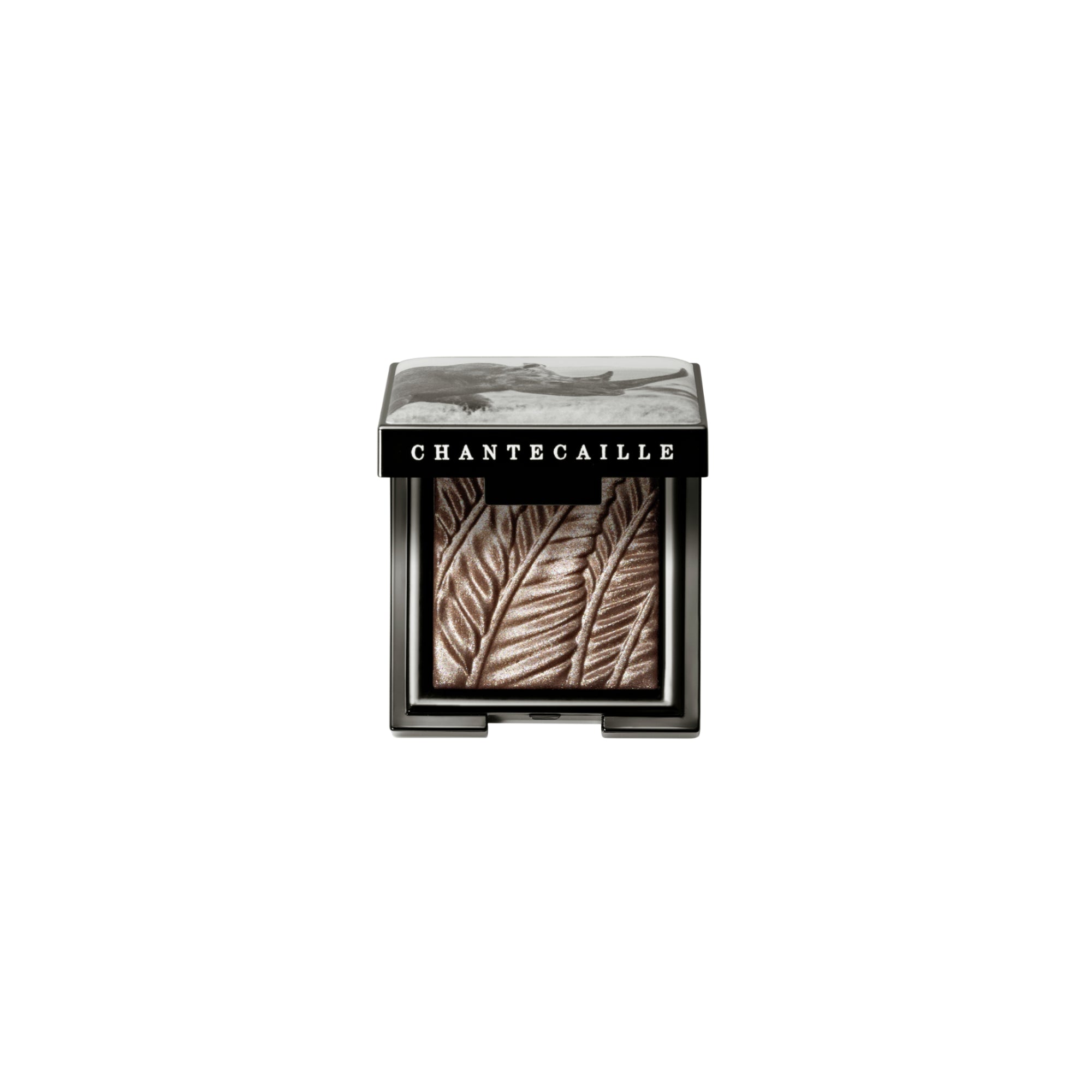 CHANTECAILLE 限定版 アイシャドウパレット等セット Luminescent Eye Shades | Pearlescent Eye Shadow – Chantecaille