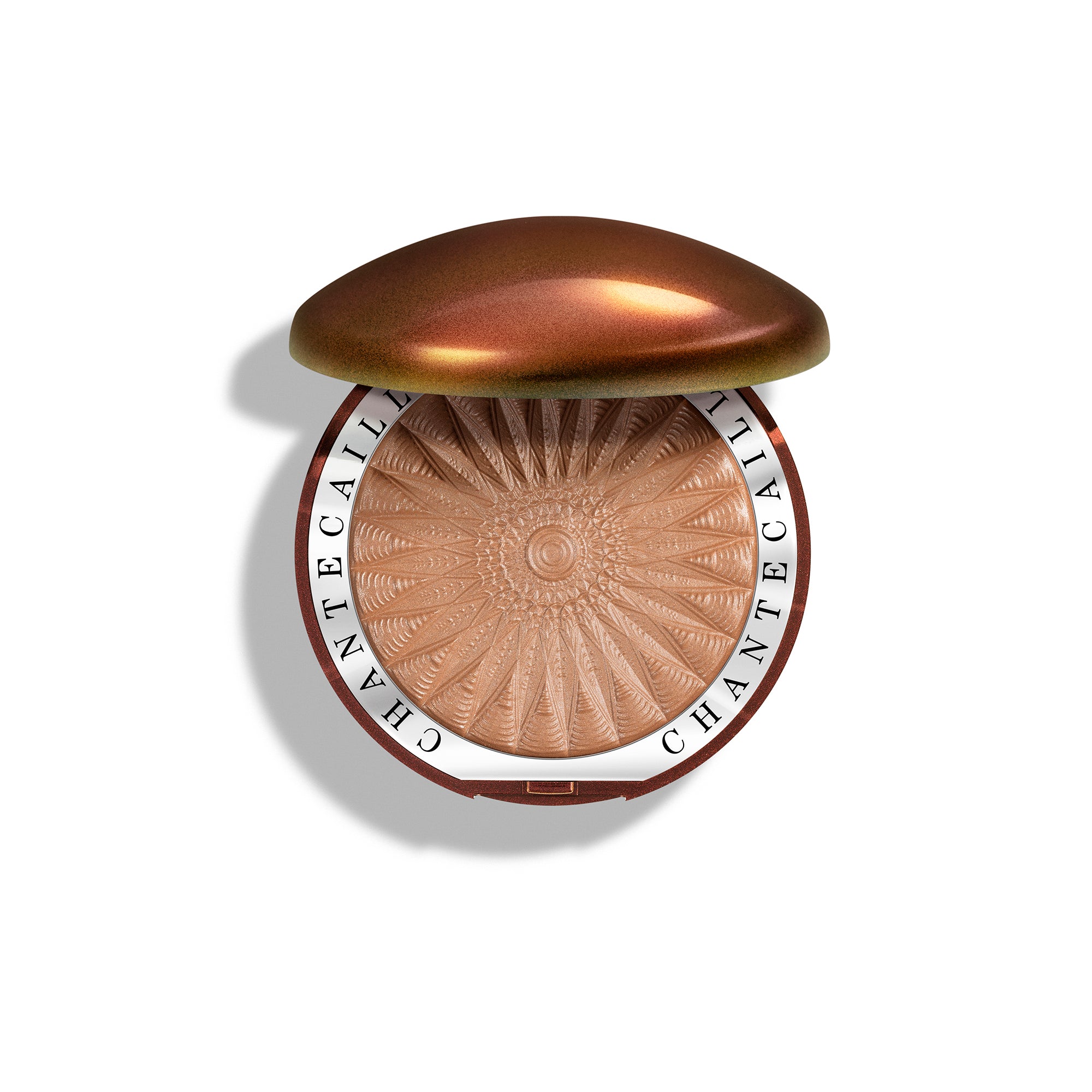 Chantecaille retailer Real Bronze Shade