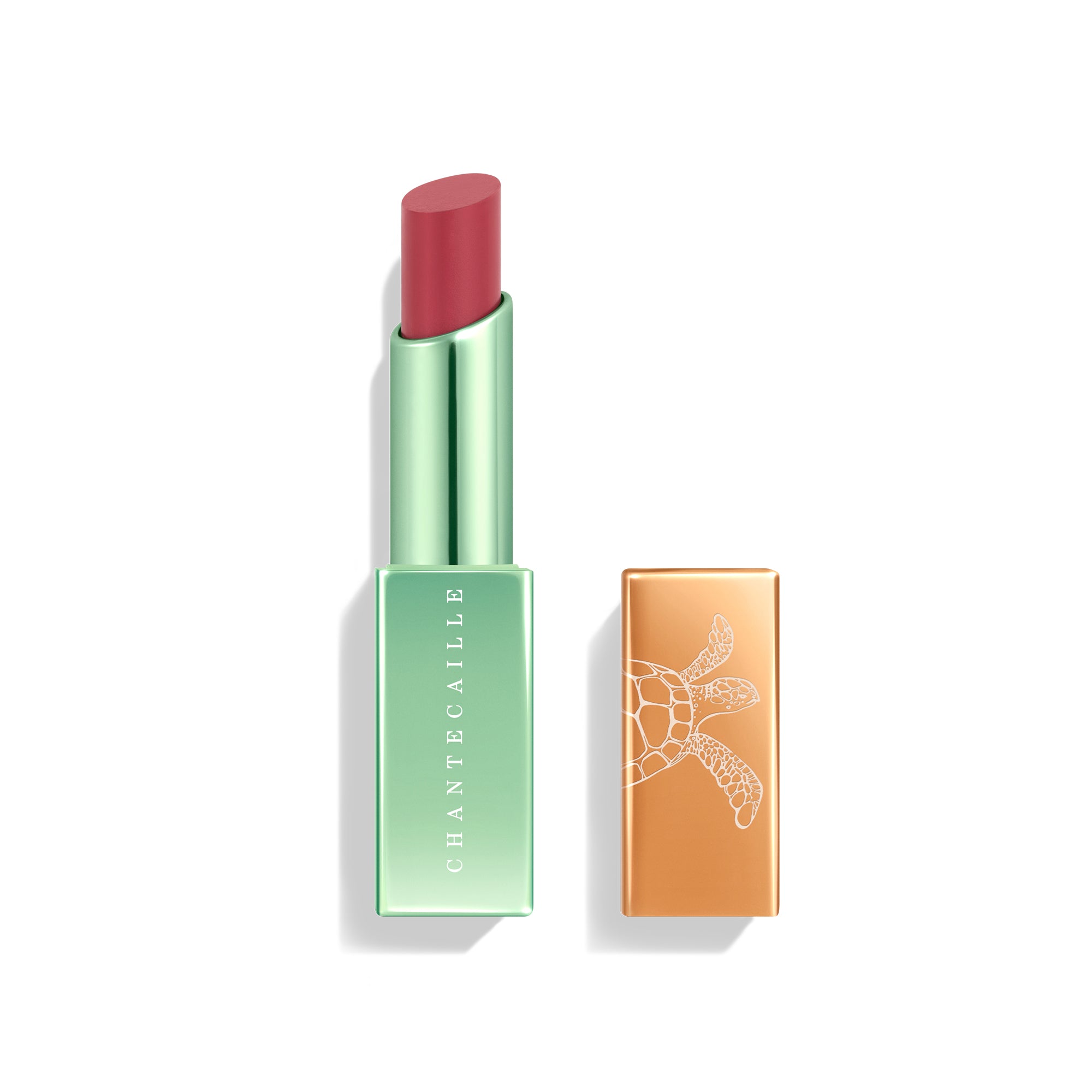 Sea Turtle Collection - Lip Chic 1